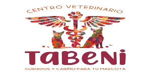 Cliente AmibGroup